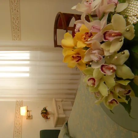 Helvetia Hotel 3*